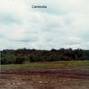 Scan-045.jpg