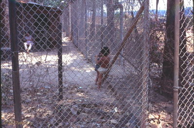 Two local children in village at Lai Khe 
Wayne Trucke Photo

1969
