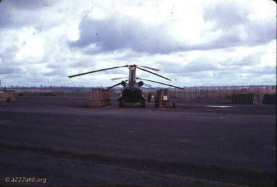 Chinook
Wayne Trucke Photo
