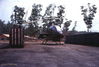 WT008-3-69_9.jpg