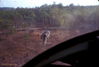 WT064-a5-69_2b.jpg