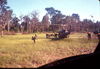 Filename=WT119-7-69_16a.jpg
Filesize=236KiB
Dimensions=875x604
Date added=May 02, 2010 WT119-7-69_16a.jpg