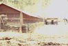 WT191-8-69_14.jpg