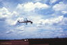 WT208-8-69_32.jpg