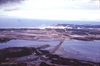 WT237-a10-69_1.jpg