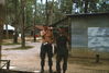 WT263-1-70_9.jpg